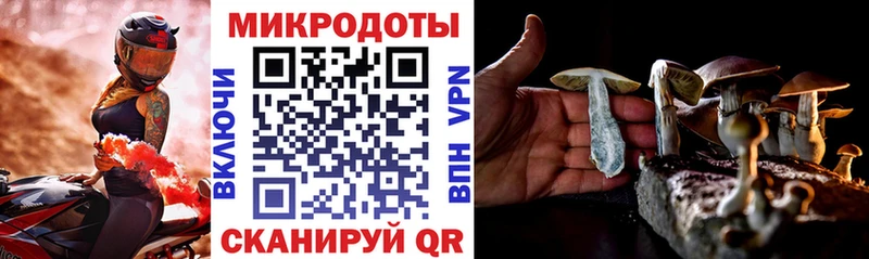 Купить закладки  Павловский Посад  Псилоцибиновые грибы Psilocybine cubensis 